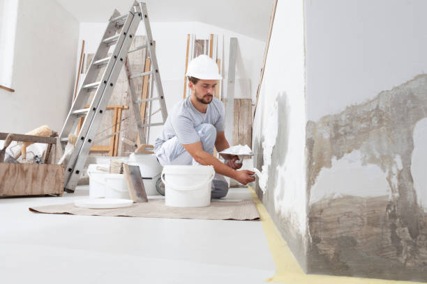 Best Fire-Damaged Drywall Repair  in USA